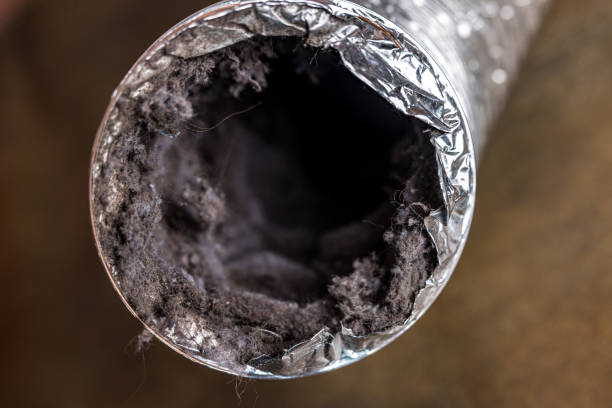 Best Duct Cleaning for Homes  in Talty, TX